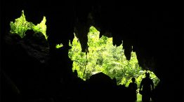 Parque Estadual Caverna do Diabo