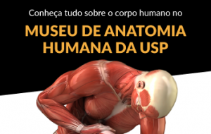 Museu de Anatomia Humana da USP traz tudo sobre o corpo