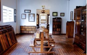 Único museu brasileiro dedicado ao eucalipto completa 103 anos