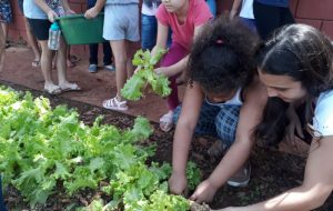 Projeto na cidade de Tupã estimula alimentação saudável entre crianças