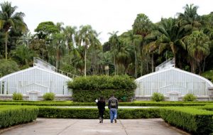 Instituto de Botânica de SP promove Simpósio de Restauração Ecológica