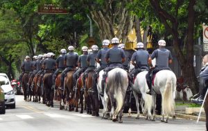 Polícias paulistas prendem 351 pessoas no domingo de carnaval