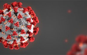Pesquisadores identificam diferenças em genomas nos casos confirmados de coronavírus