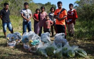 Aldeias indígenas de SP recebem cestas montadas por comunidades quilombolas