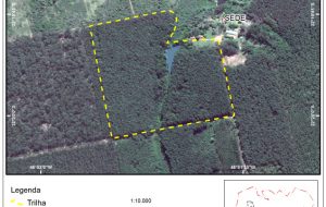 Estudo revela potencial da Floresta Estadual de Pederneiras para ações de uso público