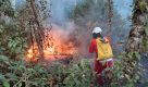 São Paulo Sem Fogo: área total atingida por incêndios florestais diminui 86%