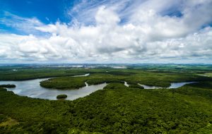 Governo anuncia investimento de R$ 100 milhões da Fapesp para Amazônia