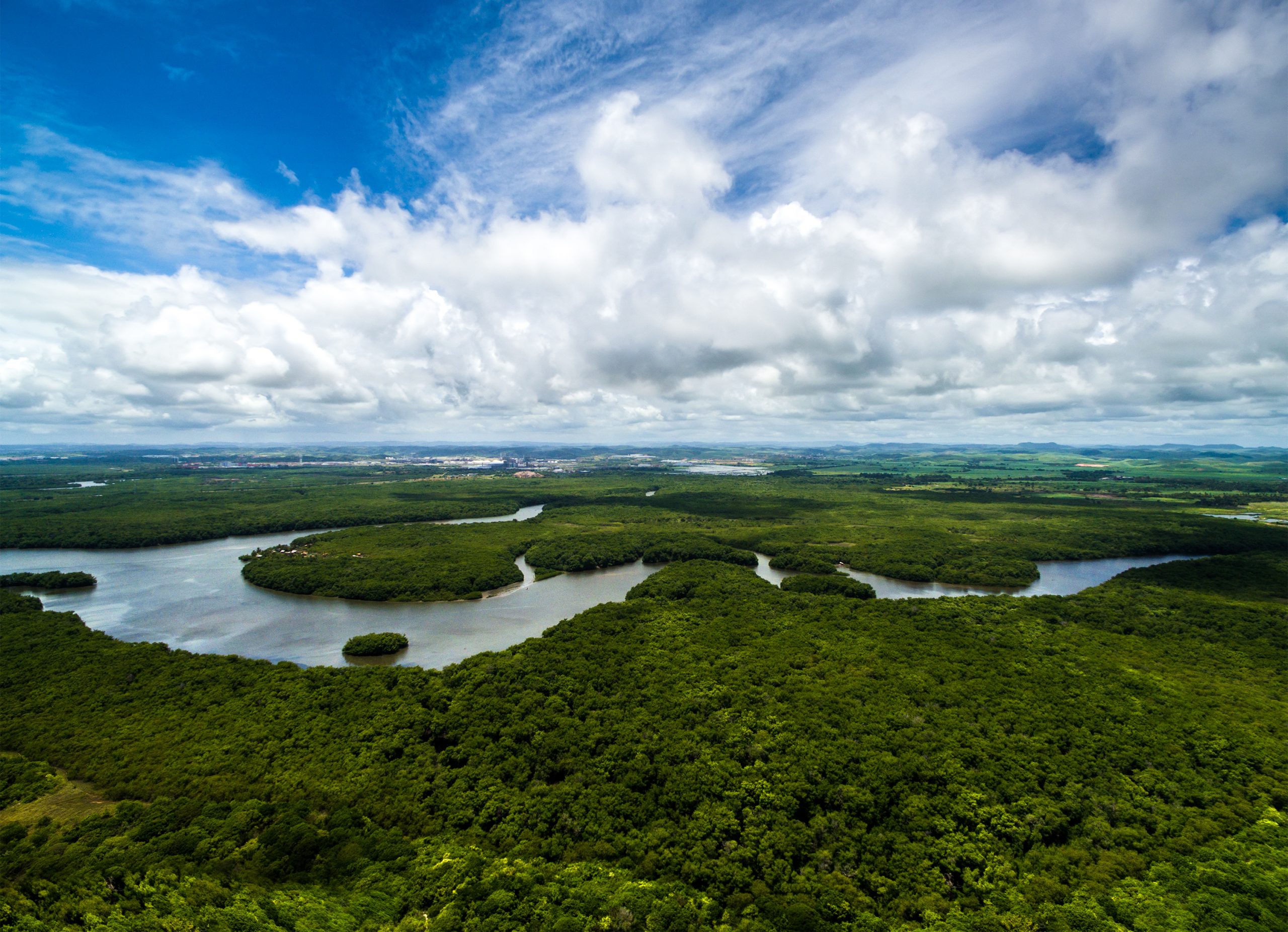 Governo anuncia investimento de R$ 100 milhões da Fapesp para Amazônia |  Governo do Estado de São Paulo