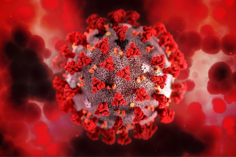Estudo mostra que coronavirus pode ficar mais tempo no organismo | Governo  do Estado de São Paulo