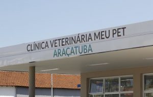 Governo de SP entrega Clínica Veterinária do programa Meu Pet em Araçatuba