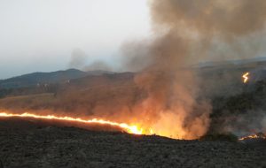 Queda de balão e uso irregular do fogo estão entre os principais motivos das ocorrências de incêndios florestais