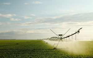 Algoritmo adaptado à agricultura brasileira pode viabilizar a irrigação de precisão no país