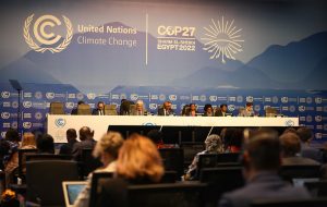 COP27: Governo de SP apresenta balanço das ações para preservação ambiental