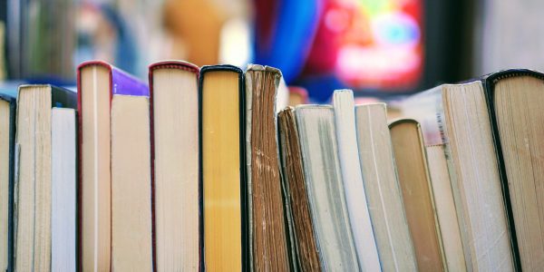 Dia Mundial do Livro: conheça bibliotecas gratuitas da USP, Unicamp e Unesp