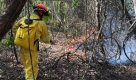 Soltura de balão agrava risco de incêndios florestais durante período de seca