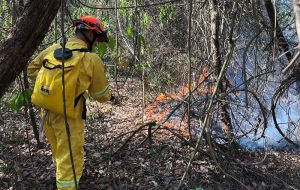 Soltura de balão agrava risco de incêndios florestais durante período de seca