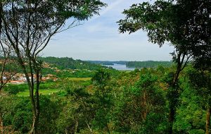 Turismo em Ribeirão Pires: natureza e cidade se encontram em refúgio a 40 km da capital