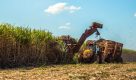 Programa Etanol Mais Verde acelera redução do consumo hídrico na produção de cana