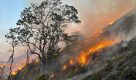 São Paulo Sem Fogo: área total atingida por incêndios florestais diminui 86%