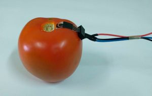 Sensor da USP monitora níveis de pesticidas sobre a pele de frutas, verduras e legumes