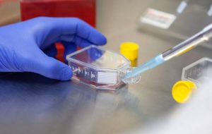 Com células de inseto, Instituto Butantan desenvolve tecnologia para vacina contra Zica