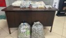 PM estoura ‘casa bomba’ e apreende mais de 10 mil porções de drogas no zona sul de SP