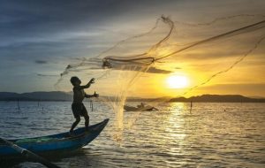Instituto de Pesca de SP orienta pescadores para conseguir a licença