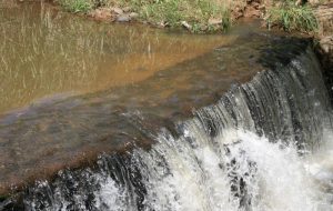 90% da água usada na irrigação retorna ao ambiente pela transpiração das plantas