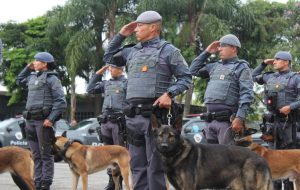 Canil do Caep: cães policiais herdam legado na luta contra o crime no Alto Tietê