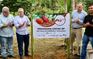 Governo de São Paulo lança Programa Cacau SP no Vale do Ribeira